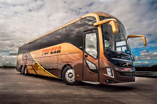 D&M FIESTA TRAVEL INC