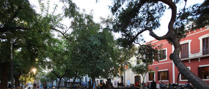 Plaza del Norte: Vista Espectacular y Emblemática en el Corazón de la Ciudad