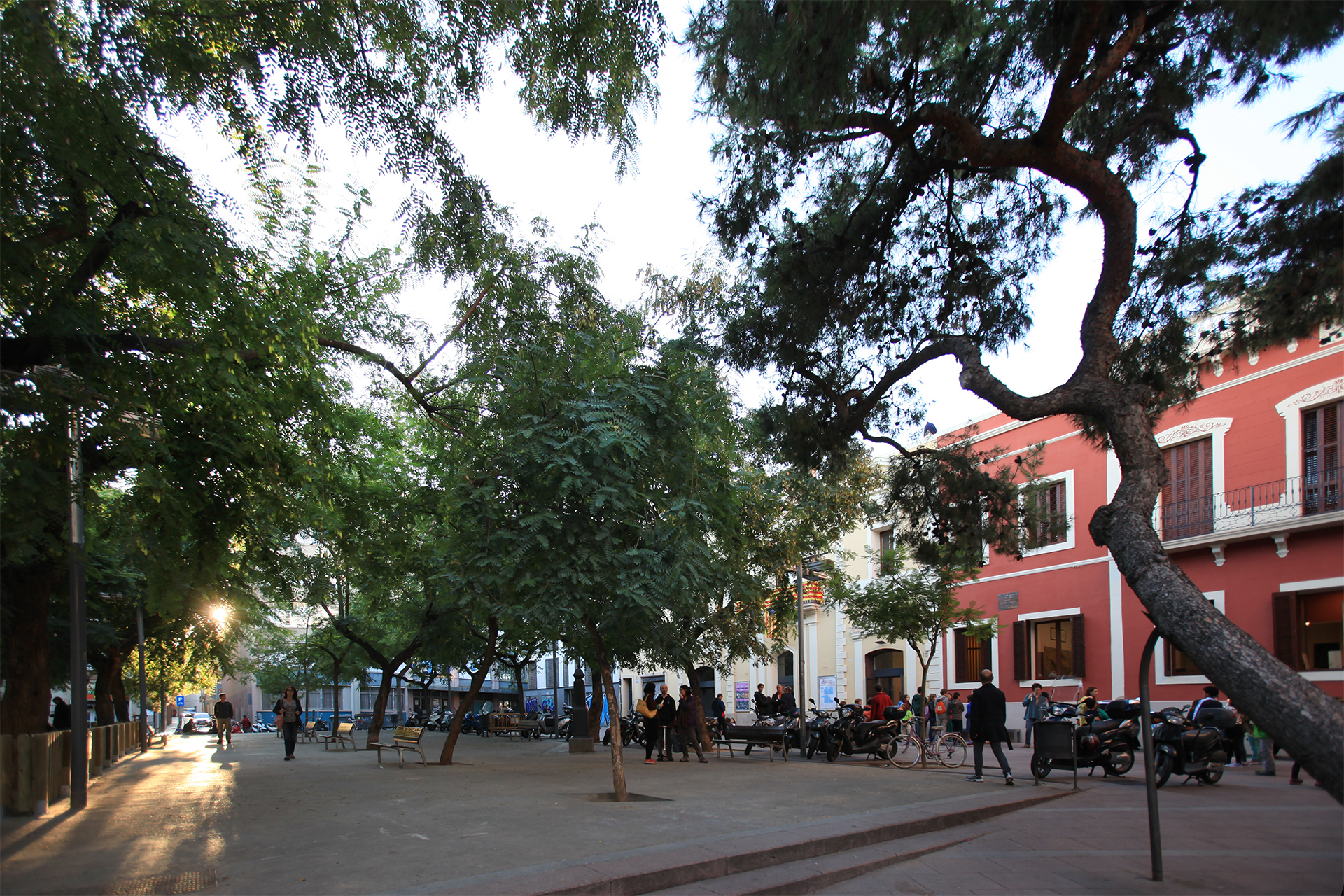 Plaza del Norte: Vista Espectacular y Emblemática en el Corazón de la Ciudad