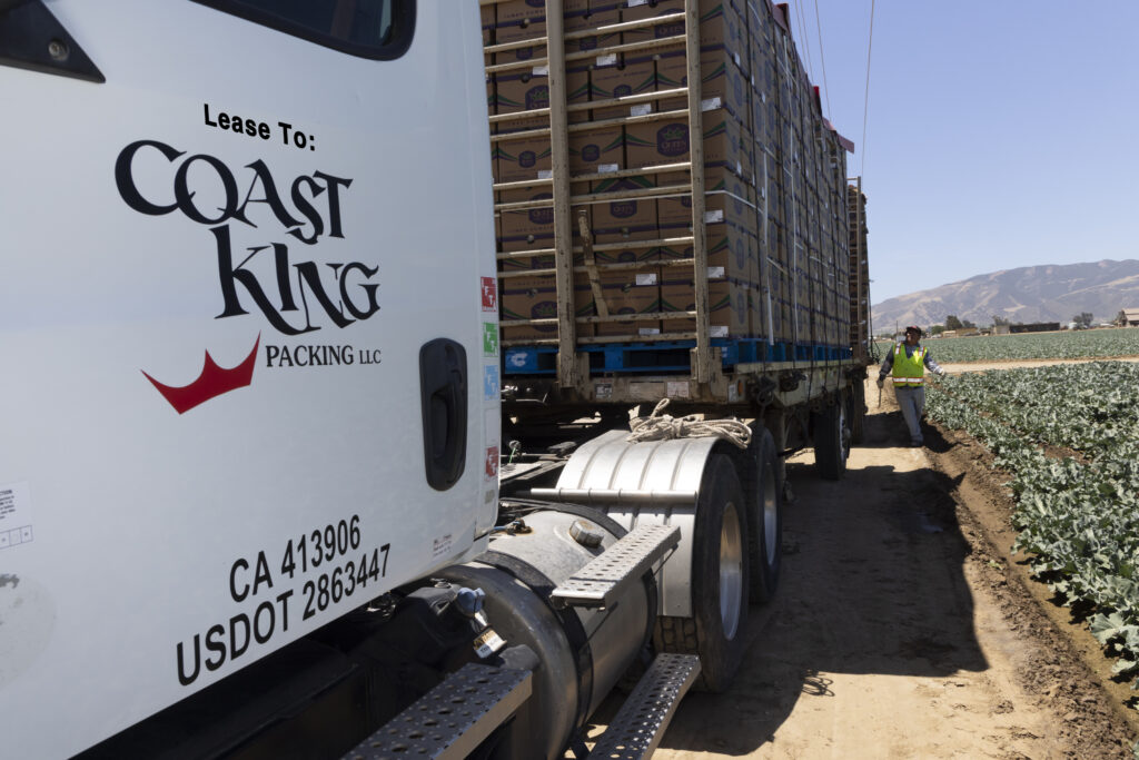Coast King Packing LLC – Soluciones Profesionales de Embalaje y Logística para tu Negocio