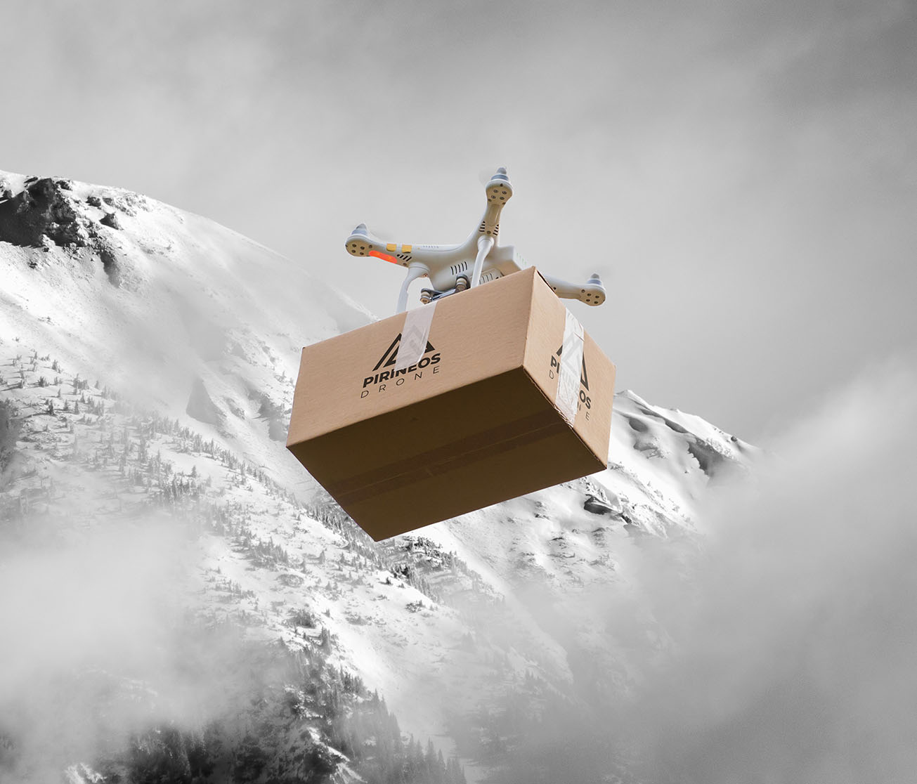 Paquetería en la Montaña: Servicio Rápido y Seguro para Entregas en Terrenos Altos