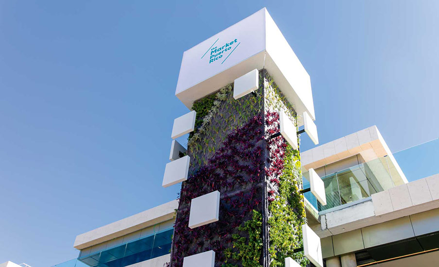 El Market Puerto Rico: Mercado Vibrante y Auténtico en la Isla del Encanto